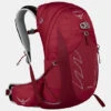 Osprey Talon 22L Rugzak